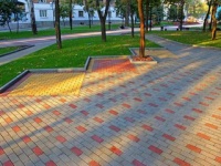Дети из школы-интерната будут делать тротуарную плитку. Деньги на проект выделило посольство Польши 